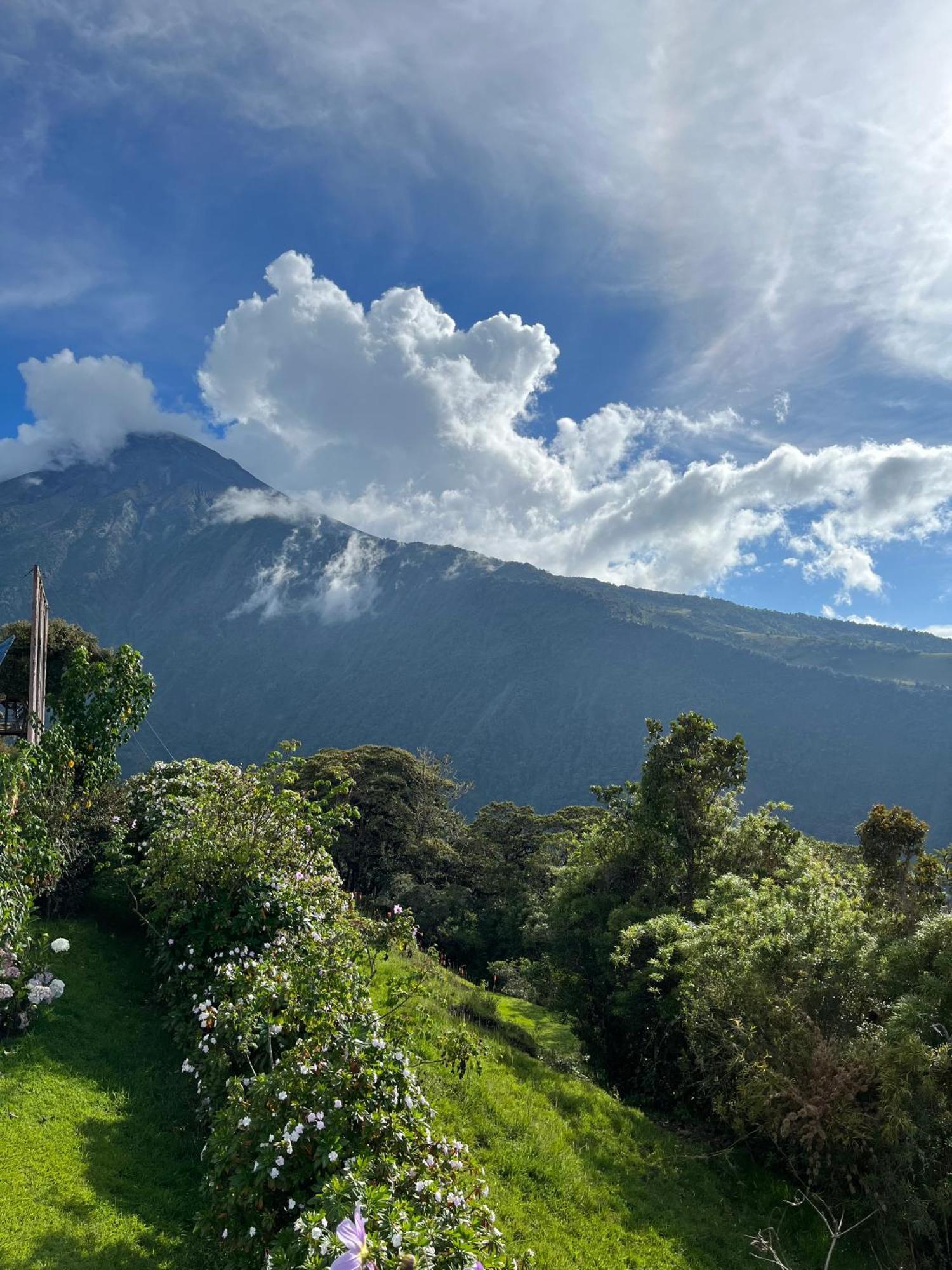 Mountain Chalet - Tungurahua Hot Springs/Aguas Termales Baños Eksteriør bilde